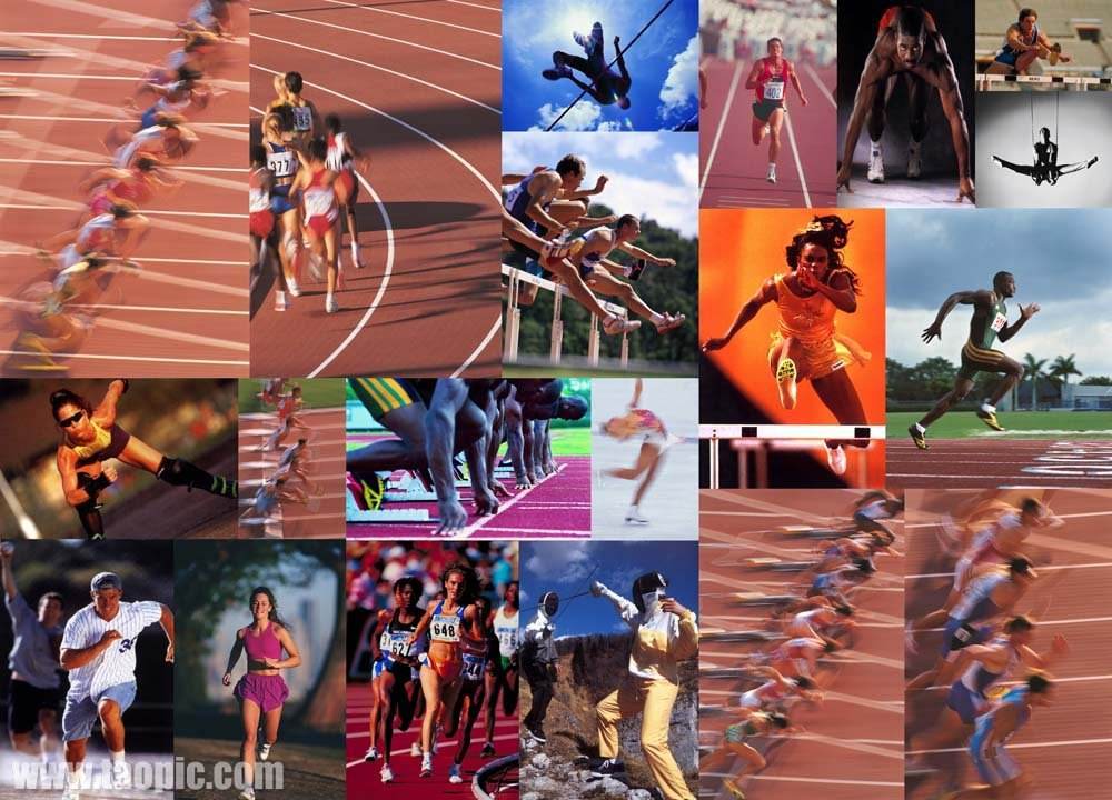 验意志与能 验意志与能