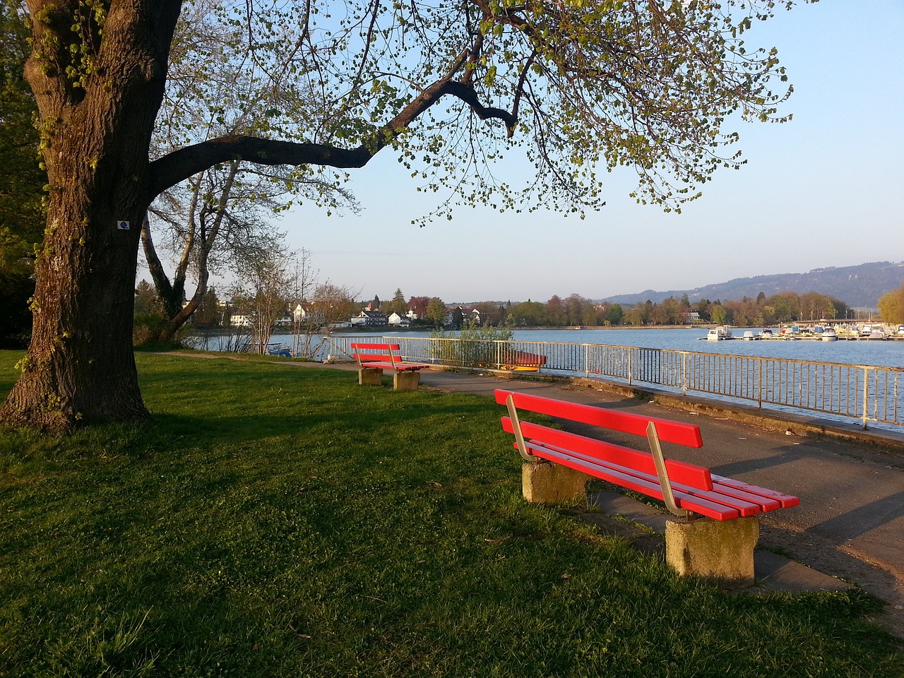 灵活的内线 灵活的内线