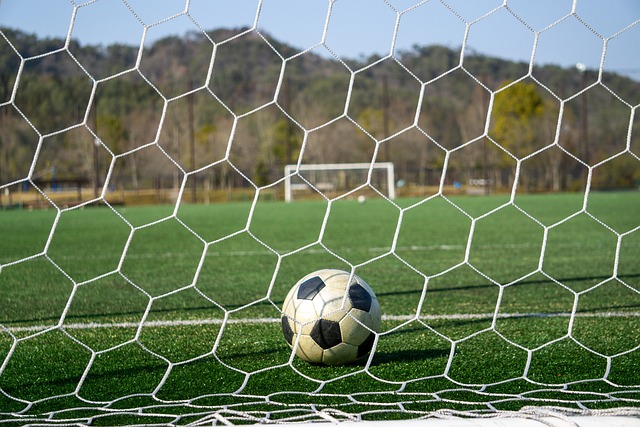 羽毛球比赛 羽毛球比赛