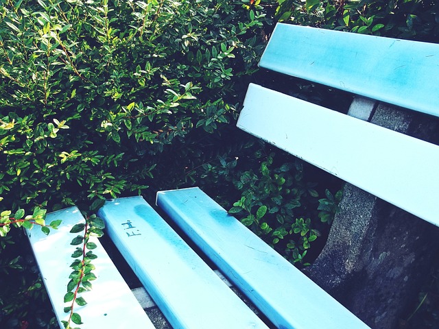 显然离不开 显然离不开